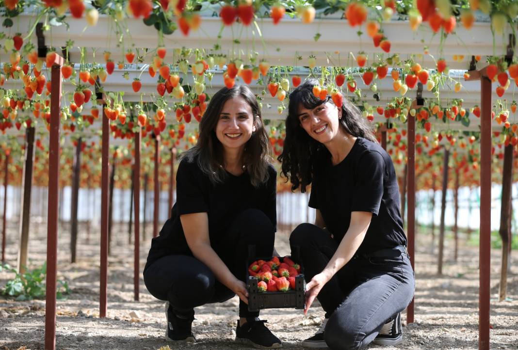 İki kadın el ele verip yerde değil gökte yetiştirdi 2